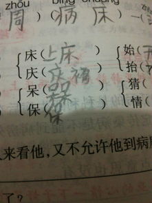 匪怎么组词是