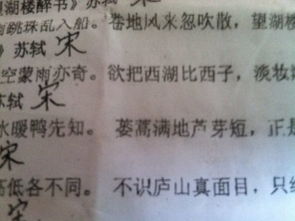 芽芦怎么组词