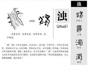 怎么组词浊