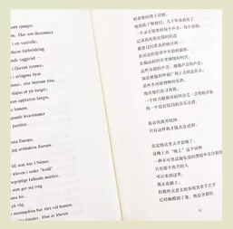 石头的诗怎么组词呀 石头的诗怎么组词呀