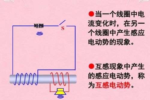 互怎么组词呢