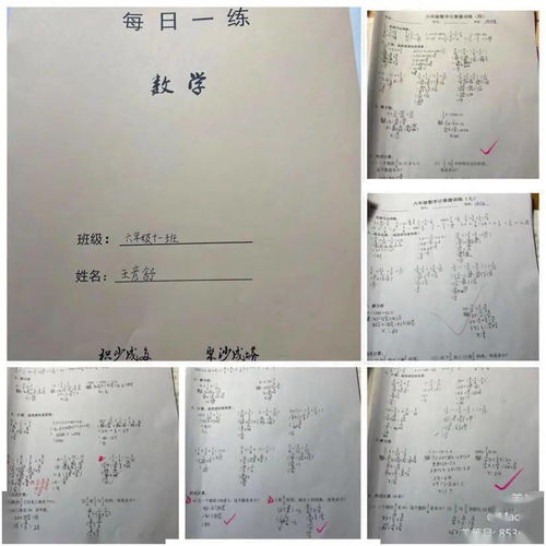 忙怎么组词野茫茫的忙