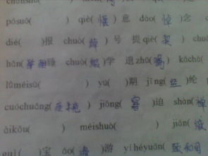 讶怎么组词语最佳答案