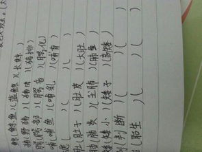 辽阔的空该怎么组词