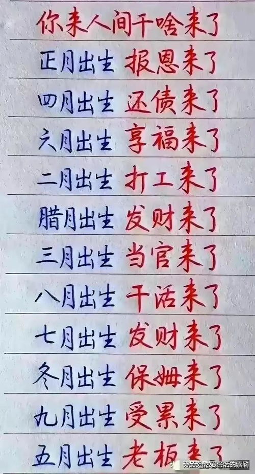 主地主地主怎么组词