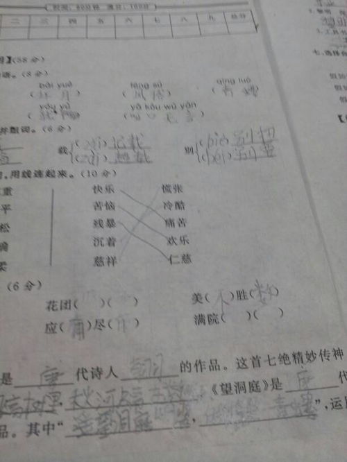 这两个词语怎么组词