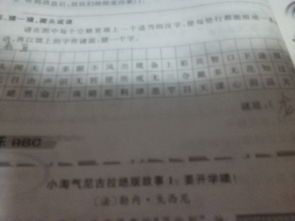 条怎么组词语