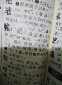 掇怎么读组词