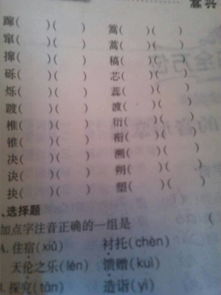 涝组词