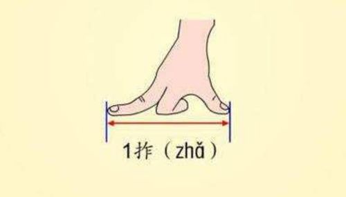 从此尺怎么组词