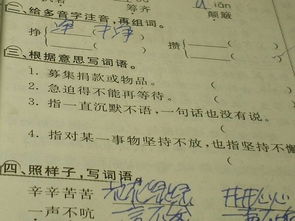 攒怎么组词