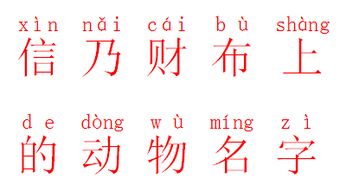 物字怎么写呀怎么组词