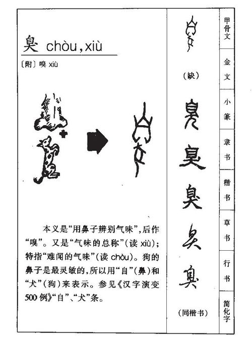 属相怎么组词