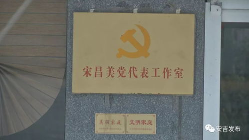 金叶的叶怎么组词 金叶的叶怎么组词