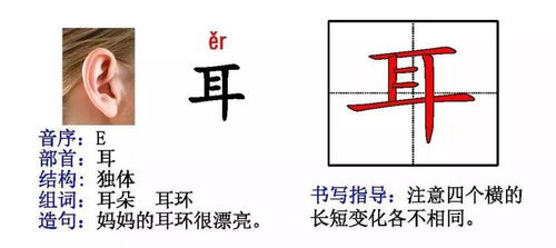 组词材