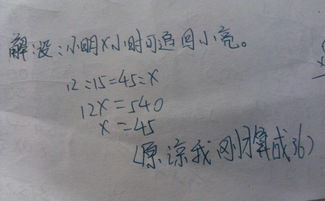 先行的行怎么组词
