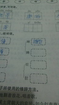 收拾的怎么组词