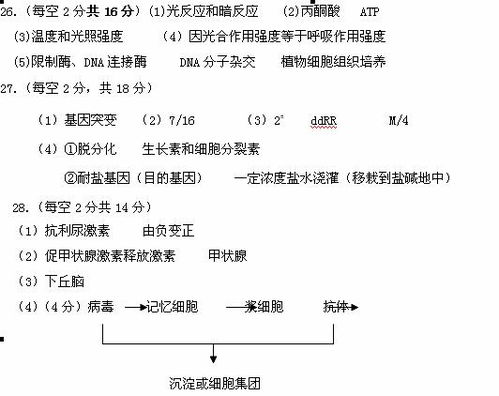 濯怎么读组词