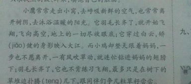 小鹰的怎么组词