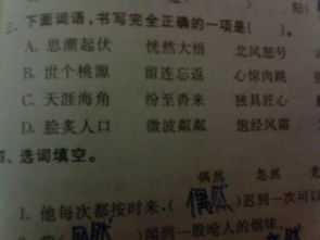 单词可以怎么组词