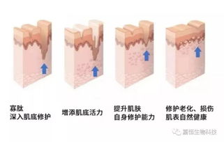 晶莹的莹还能怎么组词
