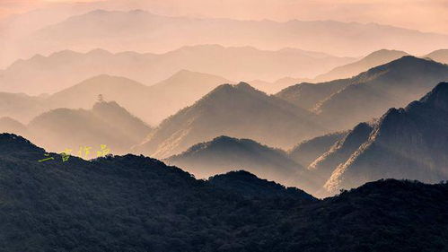 壮可以怎么组词