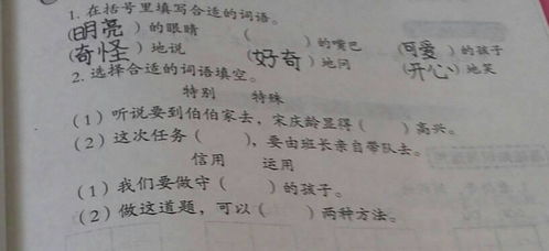 集怎么组组词