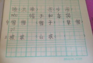 廉颇的坡怎么组词