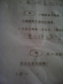 借怎么组词符