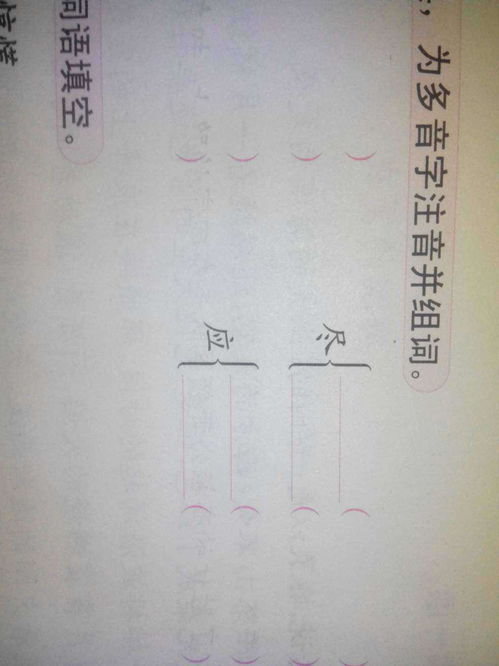 参字的多音字组词