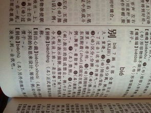 参字的多音字组词