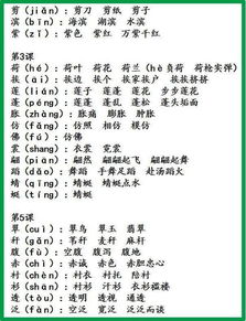 教字怎么组词