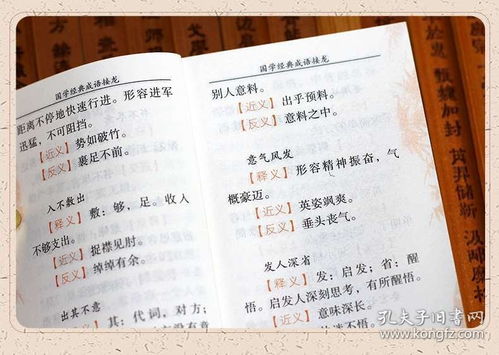 姓怎么组词小学生