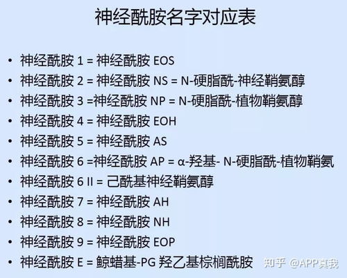 踪迹分别怎么组词