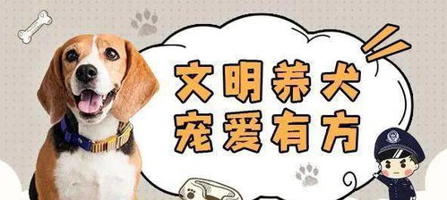 犬组词
