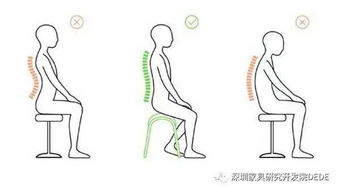 坐骨怎么组词语