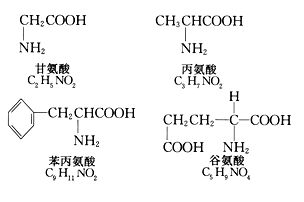 肽该怎么组词