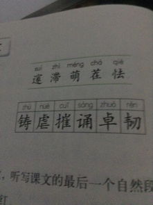 11可以怎么组词语