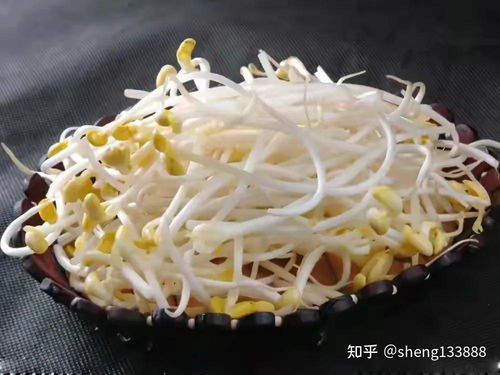 豆芽咋开的咋怎么组词