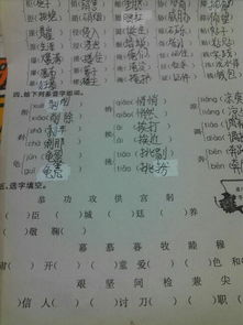 功和园怎么组词语