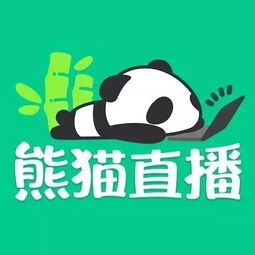 播播放怎么组词