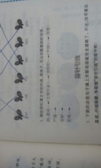 仇姓怎么组词