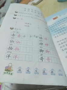 你不的组词怎么写