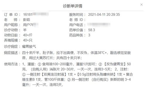 鼓气怎么组词