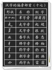 尿字该怎么组词和偏旁