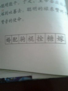 沾亲怎么组词