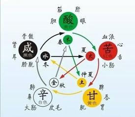 肚池怎么组词