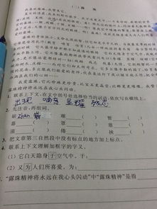 ZO罩怎么组词