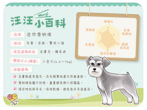小度汪汪的怎么组词