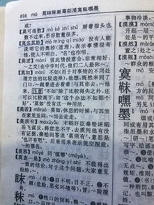 仍然怎么组词